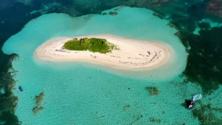 « Des racines & des ailes : Mon île aux Antilles »